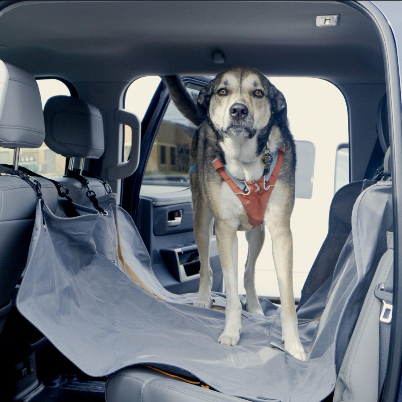 car seat covers for pet owners