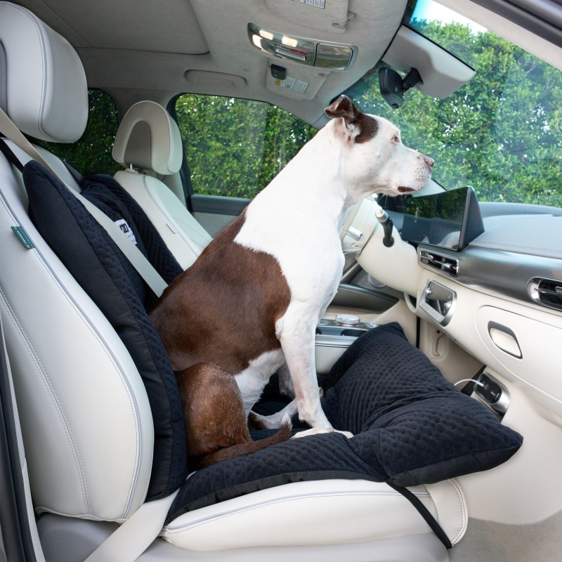 car seat covers for pet owners