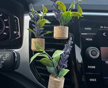 car dashboard accessories
