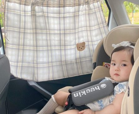best car sun shade for baby