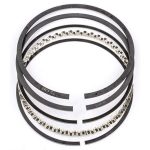 oil ring